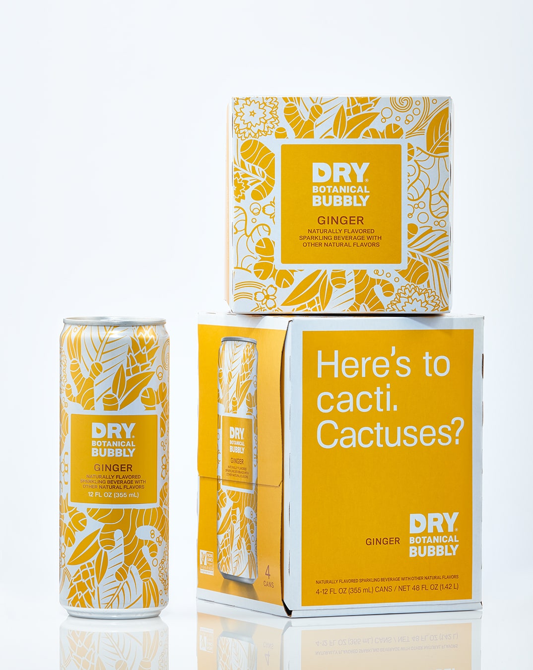 Dry Botanical Bubbly can and packaging design ginger flavor