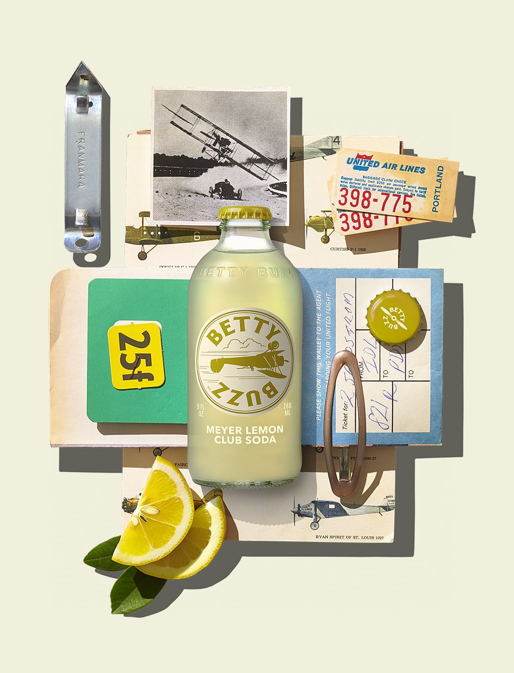 Betty Buzz Meyer lemon collage